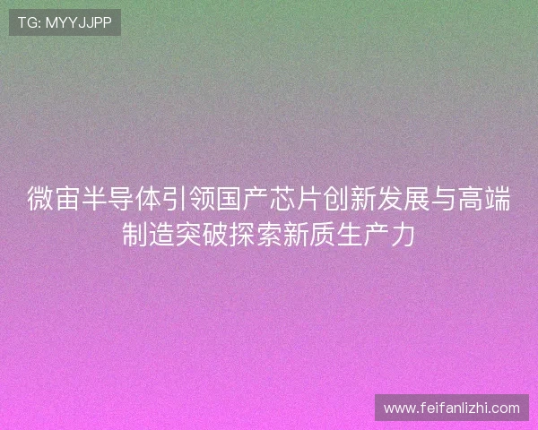 微宙半导体引领国产芯片创新发展与高端制造突破探索新质生产力 微宙半导体引领国产芯片创新发展与高端制造突破探索新质生产力