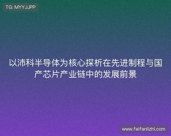 以沛科半导体为核心探析在先进制程与国产芯片产业链中的发展前景